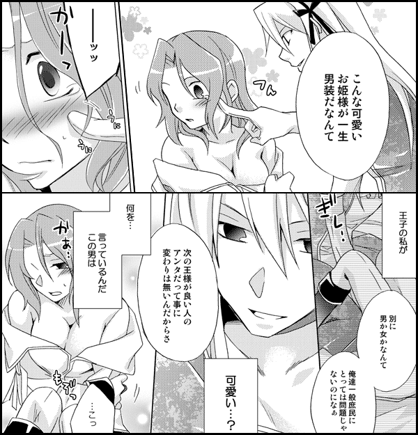 逆転シンデレラ~男装王子の秘蜜の時間~