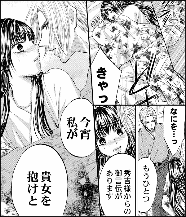 箱庭の蝶~茶々は復讐の火を孕む~