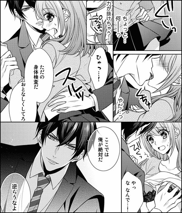 私の処女を差し押さえ！？～御曹司のミダラな融資～