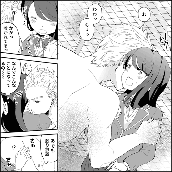 番長くんと委員長のひみつ～そのカラダ、反則ですっ～