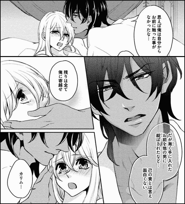 異国の花嫁 性愛レッスンは君がため