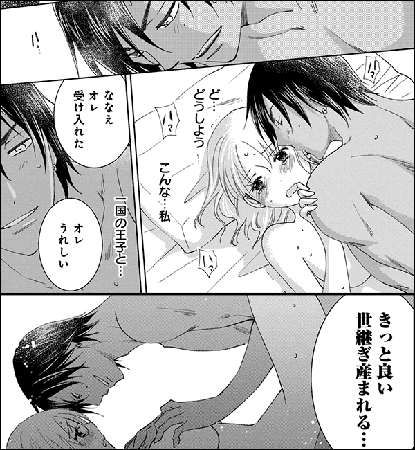 オレの子を孕んでくれ。～絶倫王子と子作りSEX～