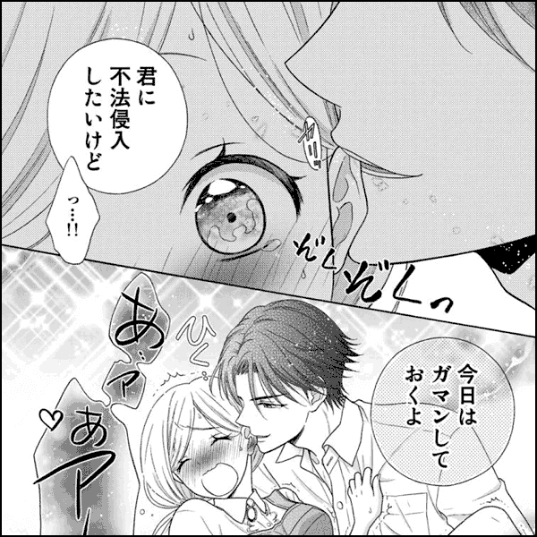 君に不法侵入したい～絶倫営業マンと妄想書店ガール