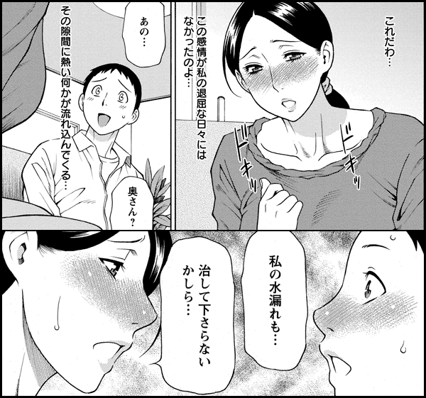 マダムパレス　デジタルモザイク版
